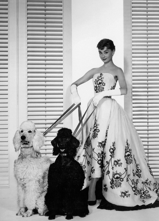 Audrey Hepburn als Sabrina, im gleichnamigen Film von Billy Wilder (1954)